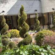 ころね 出勤するよ❤️❤️❤️ 熟女の風俗最終章 所沢店