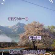 ヒメ日記 2025/04/26 07:04 投稿 くみ 熟女の風俗最終章 新潟店