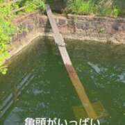 ヒメ日記 2025/06/10 10:14 投稿 くみ 熟女の風俗最終章 新潟店