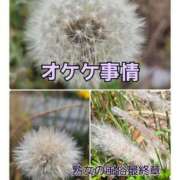 ヒメ日記 2025/06/13 09:59 投稿 くみ 熟女の風俗最終章 新潟店