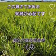 ヒメ日記 2025/07/20 10:52 投稿 くみ 熟女の風俗最終章 新潟店