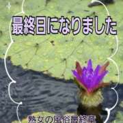 ヒメ日記 2025/08/19 08:49 投稿 くみ 熟女の風俗最終章 新潟店