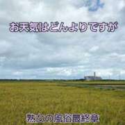 ヒメ日記 2025/09/21 10:19 投稿 くみ 熟女の風俗最終章 新潟店