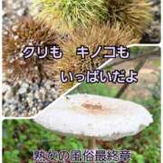 ヒメ日記 2025/09/22 08:49 投稿 くみ 熟女の風俗最終章 新潟店