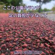 ヒメ日記 2025/10/14 10:23 投稿 くみ 熟女の風俗最終章 新潟店