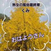 ヒメ日記 2025/11/24 09:03 投稿 くみ 熟女の風俗最終章 新潟店