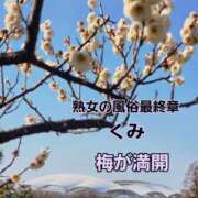 ヒメ日記 2026/03/22 08:53 投稿 くみ 熟女の風俗最終章 新潟店