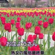 ヒメ日記 2026/04/15 08:46 投稿 くみ 熟女の風俗最終章 新潟店