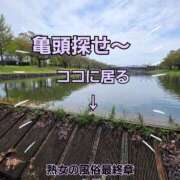 ヒメ日記 2026/04/20 10:53 投稿 くみ 熟女の風俗最終章 新潟店