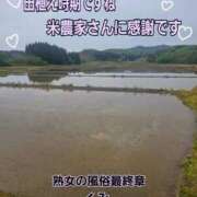ヒメ日記 2026/05/03 07:43 投稿 くみ 熟女の風俗最終章 新潟店