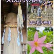 ヒメ日記 2026/06/06 14:33 投稿 くみ 熟女の風俗最終章 新潟店