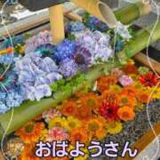 ヒメ日記 2026/06/12 10:23 投稿 くみ 熟女の風俗最終章 新潟店