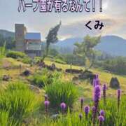 ヒメ日記 2026/07/10 10:27 投稿 くみ 熟女の風俗最終章 新潟店
