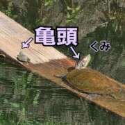 ヒメ日記 2026/07/15 08:53 投稿 くみ 熟女の風俗最終章 新潟店