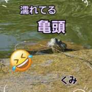 ヒメ日記 2026/07/20 10:13 投稿 くみ 熟女の風俗最終章 新潟店