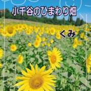 ヒメ日記 2026/08/07 10:12 投稿 くみ 熟女の風俗最終章 新潟店