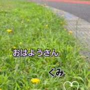 ヒメ日記 2026/08/11 08:23 投稿 くみ 熟女の風俗最終章 新潟店