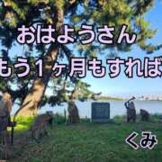ヒメ日記 2026/10/08 08:38 投稿 くみ 熟女の風俗最終章 新潟店