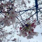 ヒメ日記 2025/04/02 16:58 投稿 まな 素人系イメージSOAP彼女感大宮館