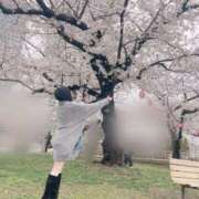 ヒメ日記 2025/04/09 15:16 投稿 まな 素人系イメージSOAP彼女感大宮館