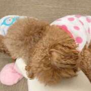 ヒメ日記 2025/06/02 16:10 投稿 まな 素人系イメージSOAP彼女感大宮館