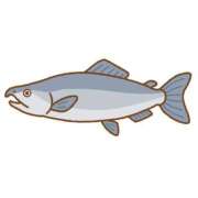 ヒメ日記 2025/09/20 21:30 投稿 まな 素人系イメージSOAP彼女感大宮館