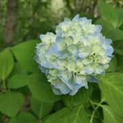 ヒメ日記 2025/07/15 15:31 投稿 あさひ アロマ＆アロマ