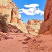 なる 出勤しました！びきてください ラブライフ所沢川越