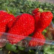 ヒメ日記 2025/09/03 15:14 投稿 なる ラブライフ大宮岩槻店