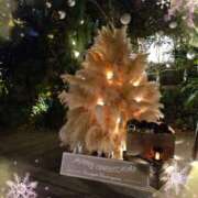 ヒメ日記 2024/12/22 13:53 投稿 貴島まこと 大人めシンデレラ 新横浜店（シンデレラグループ）