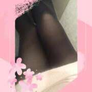 ヒメ日記 2025/03/20 12:36 投稿 貴島まこと 大人めシンデレラ 新横浜店（シンデレラグループ）