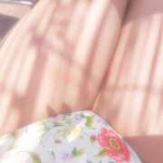 ヒメ日記 2025/08/26 12:21 投稿 貴島まこと 大人めシンデレラ 新横浜店（シンデレラグループ）