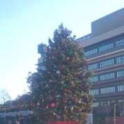 ヒメ日記 2025/11/20 15:16 投稿 貴島まこと 大人めシンデレラ 新横浜店（シンデレラグループ）