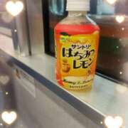 ヒメ日記 2026/01/15 21:55 投稿 貴島まこと 大人めシンデレラ 新横浜店（シンデレラグループ）