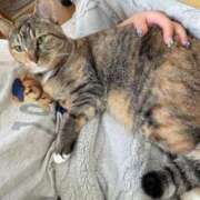 ヒメ日記 2025/12/10 17:30 投稿 まき 埼玉ちゅっぱ川越店