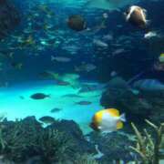 ヒメ日記 2025/04/30 09:48 投稿 なみ 川崎・東横人妻城