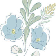 ヒメ日記 2026/03/10 14:01 投稿 さあや 土山熟女・美少女ならココ！