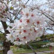 ヒメ日記 2026/04/01 17:45 投稿 さあや 土山熟女・美少女ならココ！