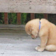 とわ ごめんなさい 奥鉄オクテツ兵庫