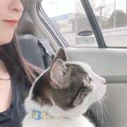 ヒメ日記 2025/03/25 16:04 投稿 ひなの 人妻倶楽部 内緒の関係 大宮店