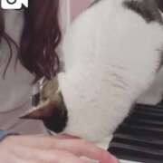 ヒメ日記 2025/04/08 06:04 投稿 ひなの 人妻倶楽部 内緒の関係 大宮店