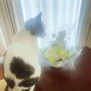 ヒメ日記 2025/05/14 13:24 投稿 ひなの 人妻倶楽部 内緒の関係 大宮店