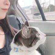 ヒメ日記 2025/09/08 22:34 投稿 ひなの 人妻倶楽部 内緒の関係 大宮店