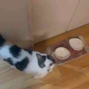 ヒメ日記 2025/10/08 04:14 投稿 ひなの 人妻倶楽部 内緒の関係 大宮店