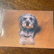 ヒメ日記 2025/12/06 06:04 投稿 ひなの 人妻倶楽部 内緒の関係 大宮店