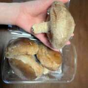 ヒメ日記 2026/03/11 18:24 投稿 ひなの 人妻倶楽部 内緒の関係 大宮店