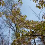 ヒメ日記 2026/03/30 15:44 投稿 ひなの 人妻倶楽部 内緒の関係 大宮店