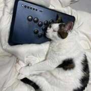 ヒメ日記 2026/04/06 11:34 投稿 ひなの 人妻倶楽部 内緒の関係 大宮店