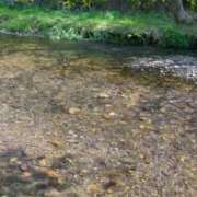 ヒメ日記 2026/04/08 16:14 投稿 ひなの 人妻倶楽部 内緒の関係 大宮店