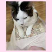 ヒメ日記 2025/01/18 07:24 投稿 ひなの 人妻倶楽部 内緒の関係 川越店